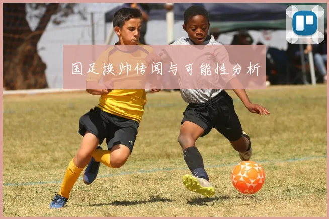 国足换帅传闻与可能性分析